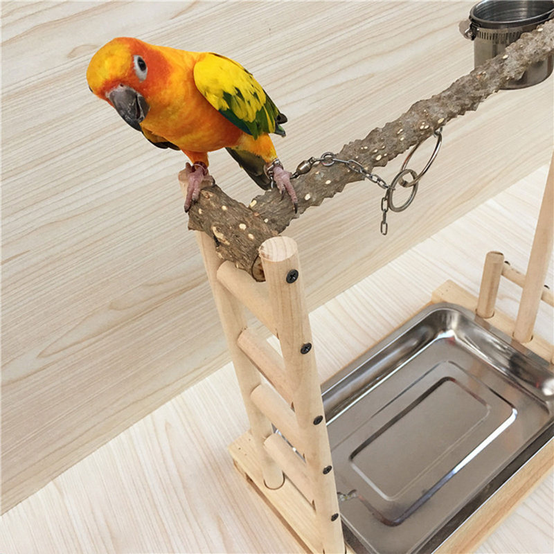 DALELEE Wooden Bird Parrots Play Stand Bird Playground With a Tray Wayfair